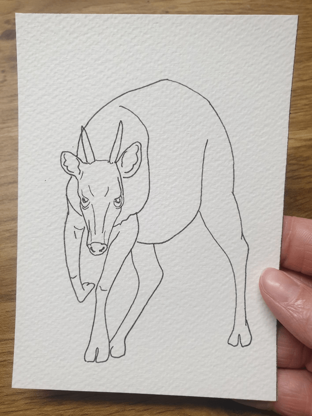 Carte "Finis Moi!" - Le Céphalophe de Jentink - 10x14cm