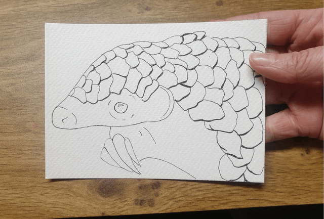 Carte "Finis Moi!" - Le Pangolin - 10x14 cm