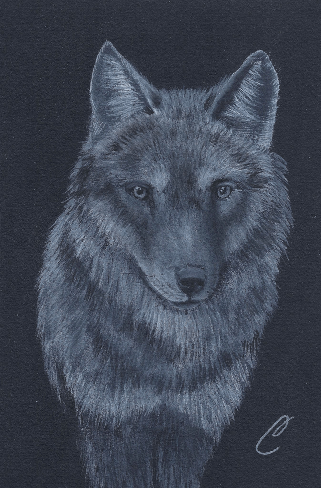 🐺 Aquarelle "Loup" – Portrait Original Encadré