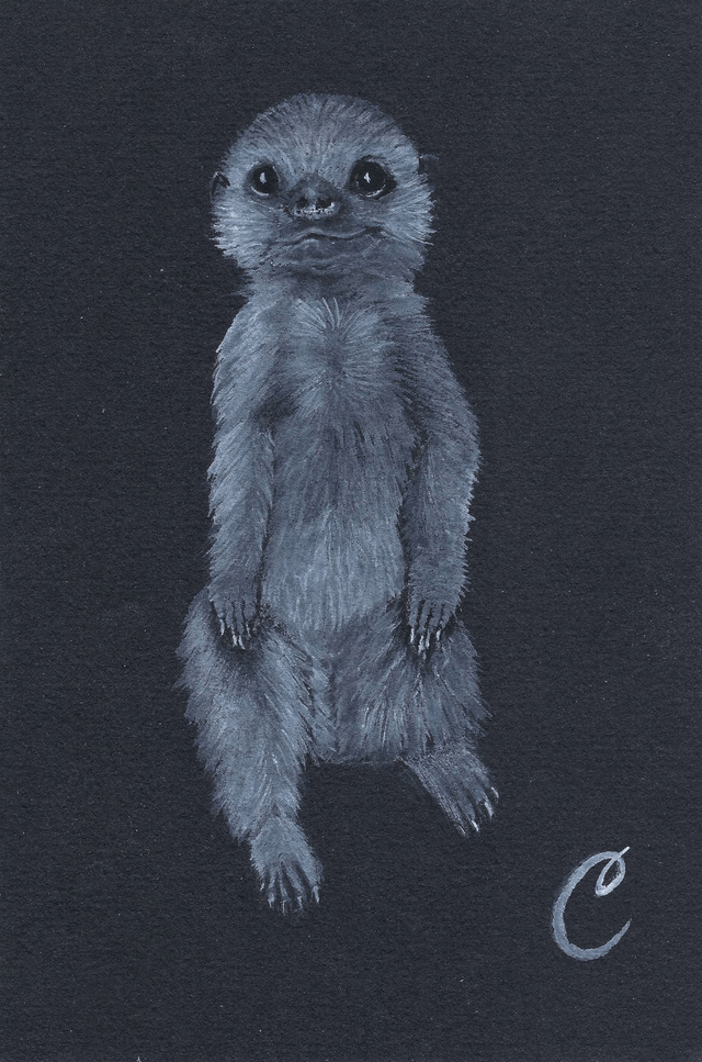 🐾 Aquarelle "Suracaton" – Œuvre Originale et Encadrée