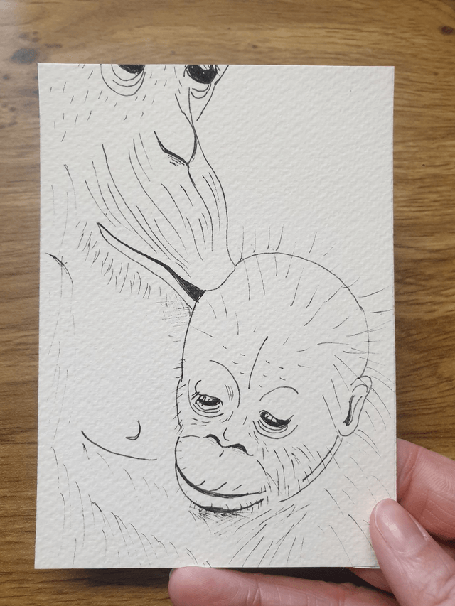 Carte "Finis Moi!" - L'Orang-Outan