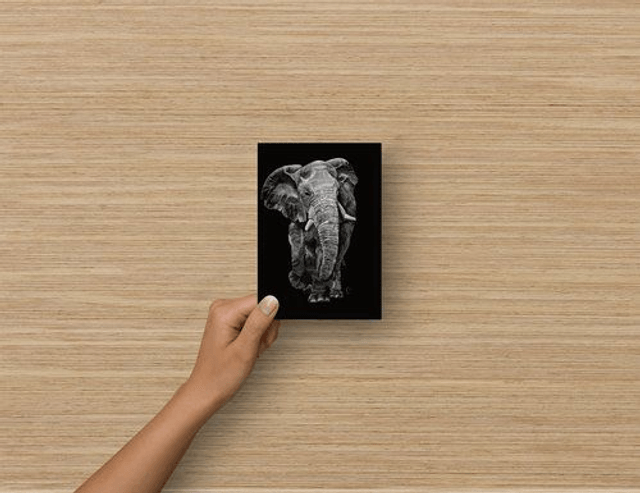 Carte Postale - Eléphant d'Afrique (reproduction Aquarelle)