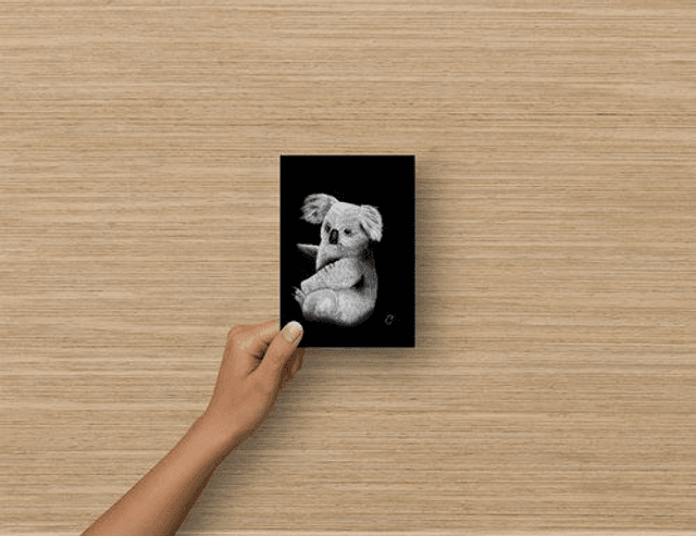 Carte Postale - Koala (reproduction Aquarelle)