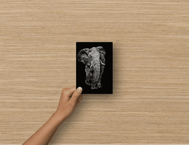 Carte Postale - Eléphant d&#039;Afrique (reproduction Aquarelle)