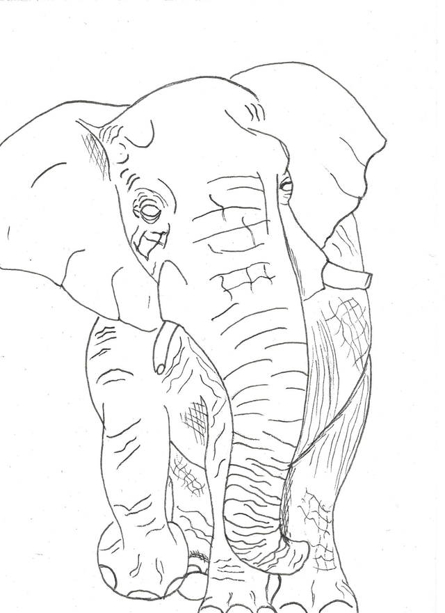 Carte "Finis Moi!" - L'éléphant - 10x14 cm