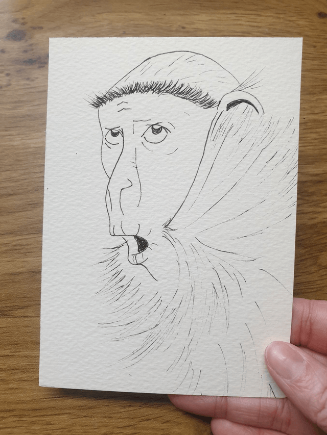 Carte "Finis Moi!" -Le Cercopithèque de Rolloway