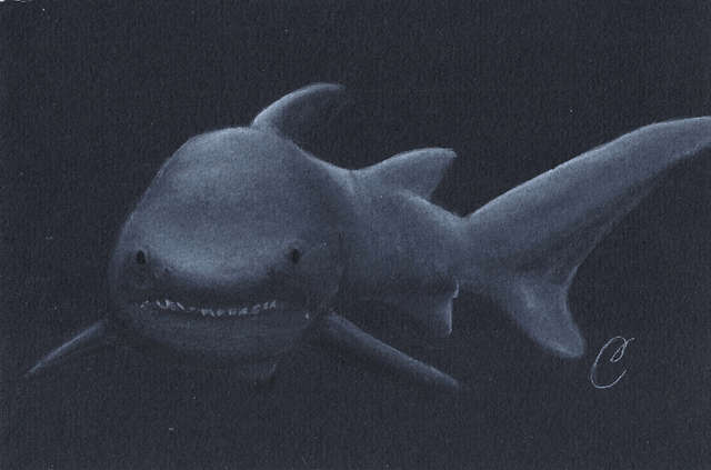 🦈 Aquarelle "Shark in the Dark" – Œuvre Originale et Encadrée