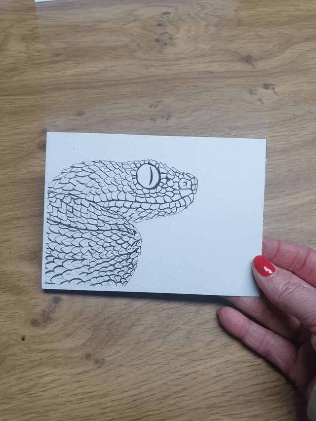 Carte "Finis Moi!" - La VipĂšre des buissons - 10x14 cm