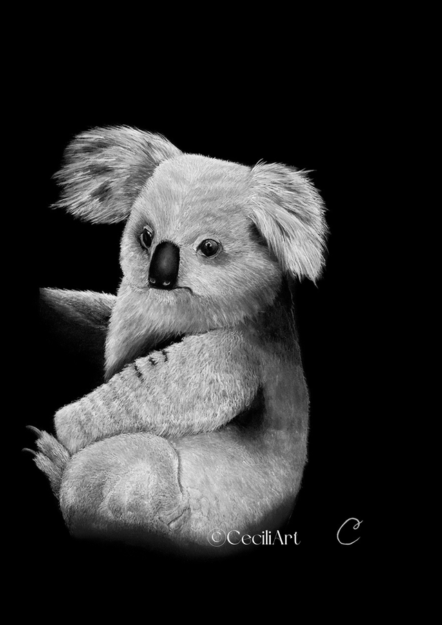 Reproduction Aquarelle Koala - Tirage sur Alu n°2/2 30x40cm